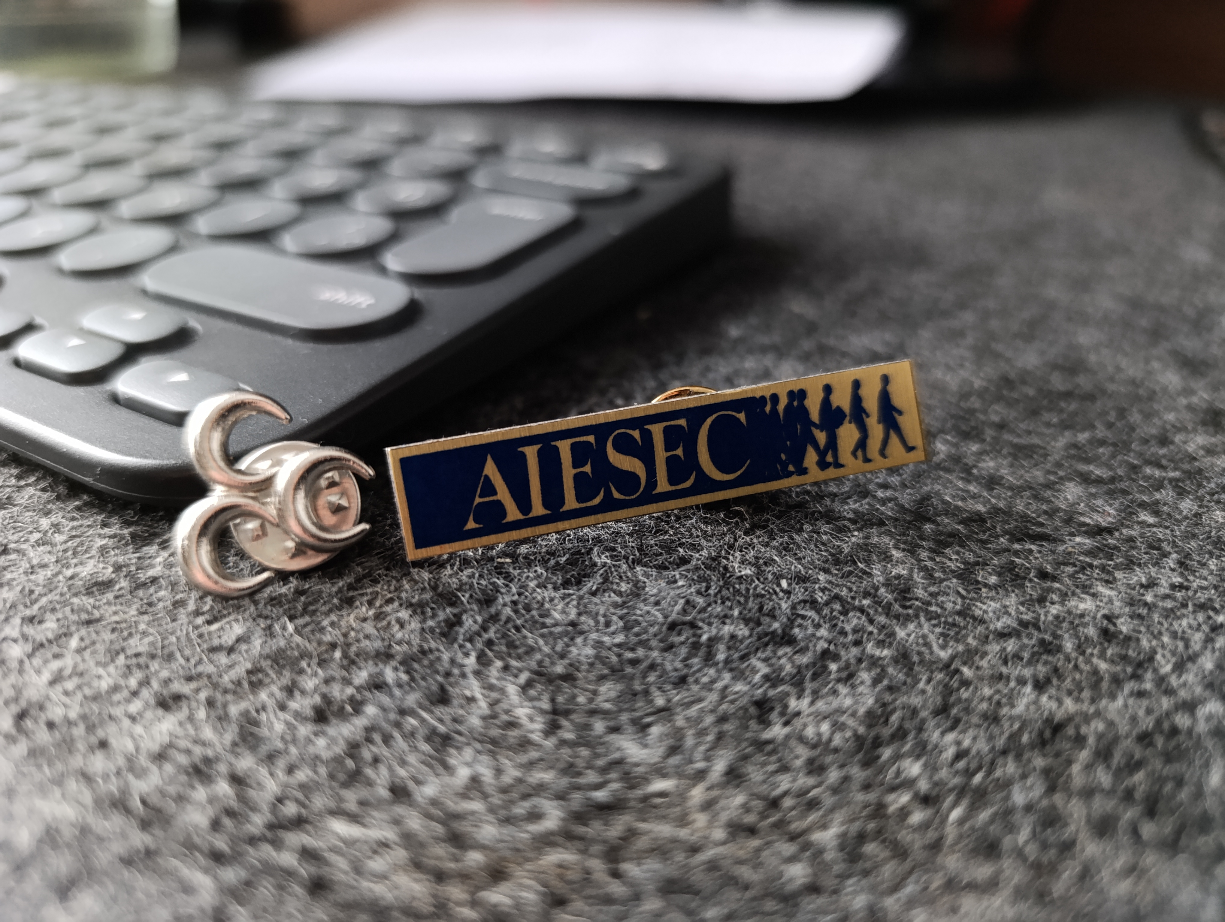 Arda Akgül MHP rozeti ile